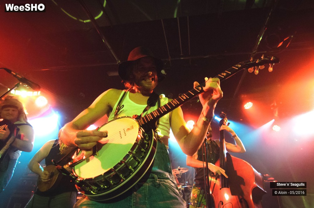 2/12 photos du spectacle Stev ?n? seagulls