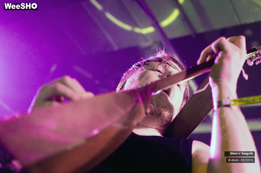 7/12 photos du spectacle Stev ?n? seagulls