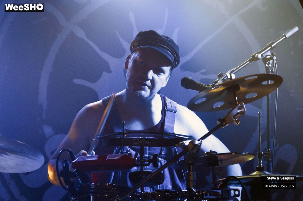 8/12 photos du spectacle Stev ?n? seagulls