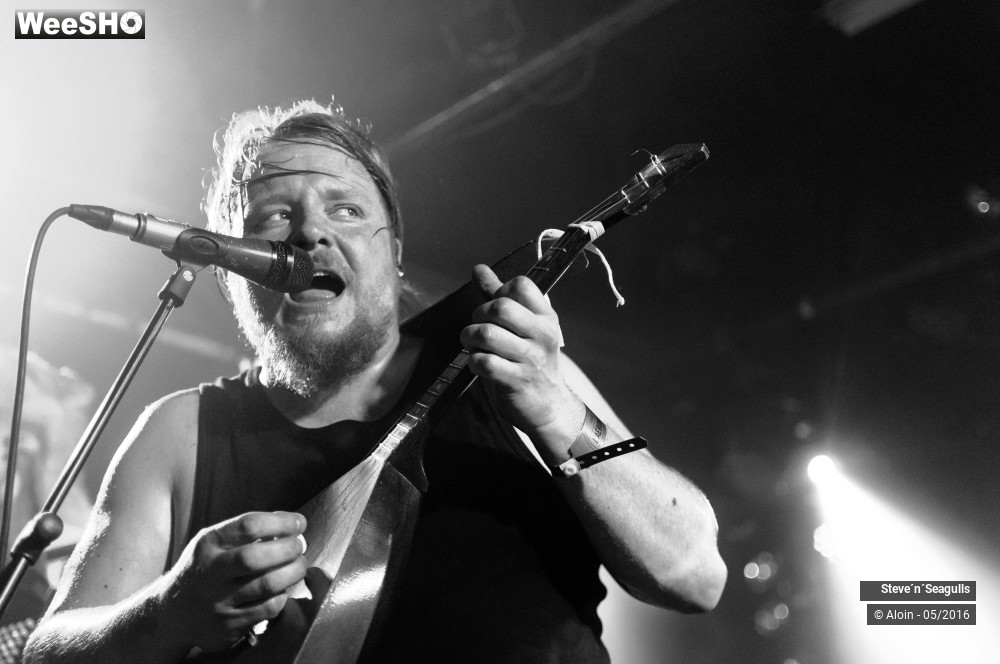 12/12 photos du spectacle Stev ?n? seagulls