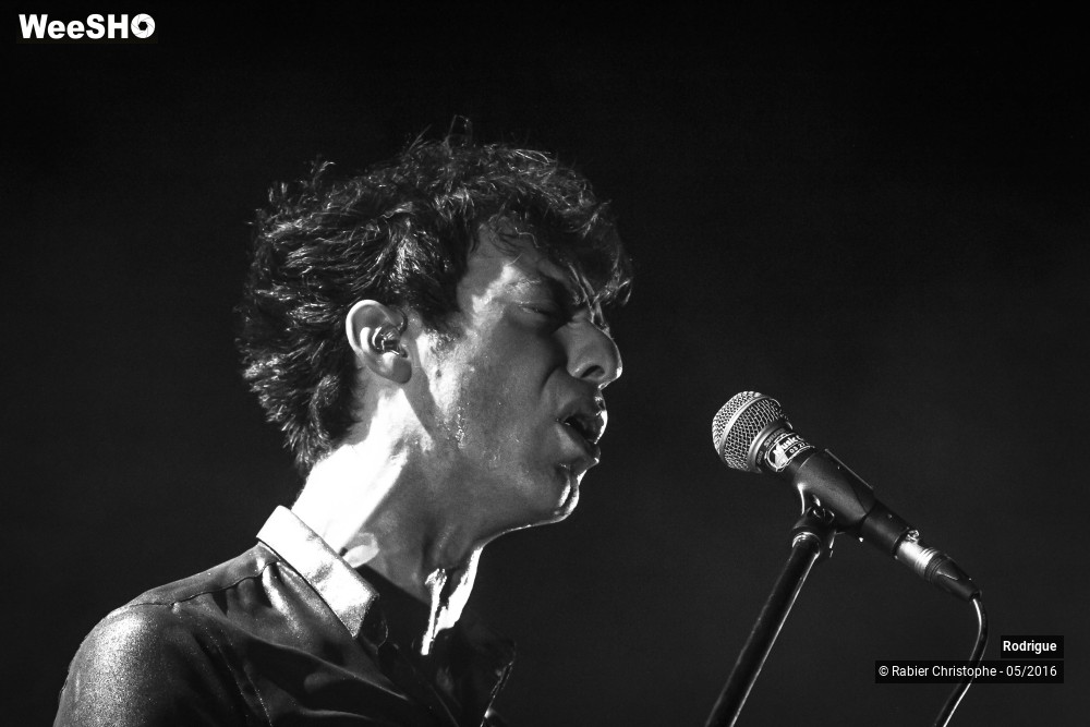 7/42 photos du spectacle Rodrigue