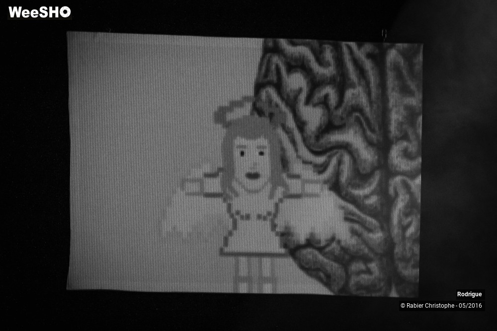 12/42 photos du spectacle Rodrigue