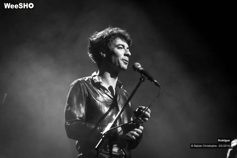 27/42 photos du spectacle Rodrigue