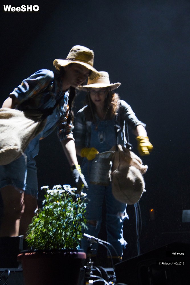 12/13 photos du spectacle Neil Young