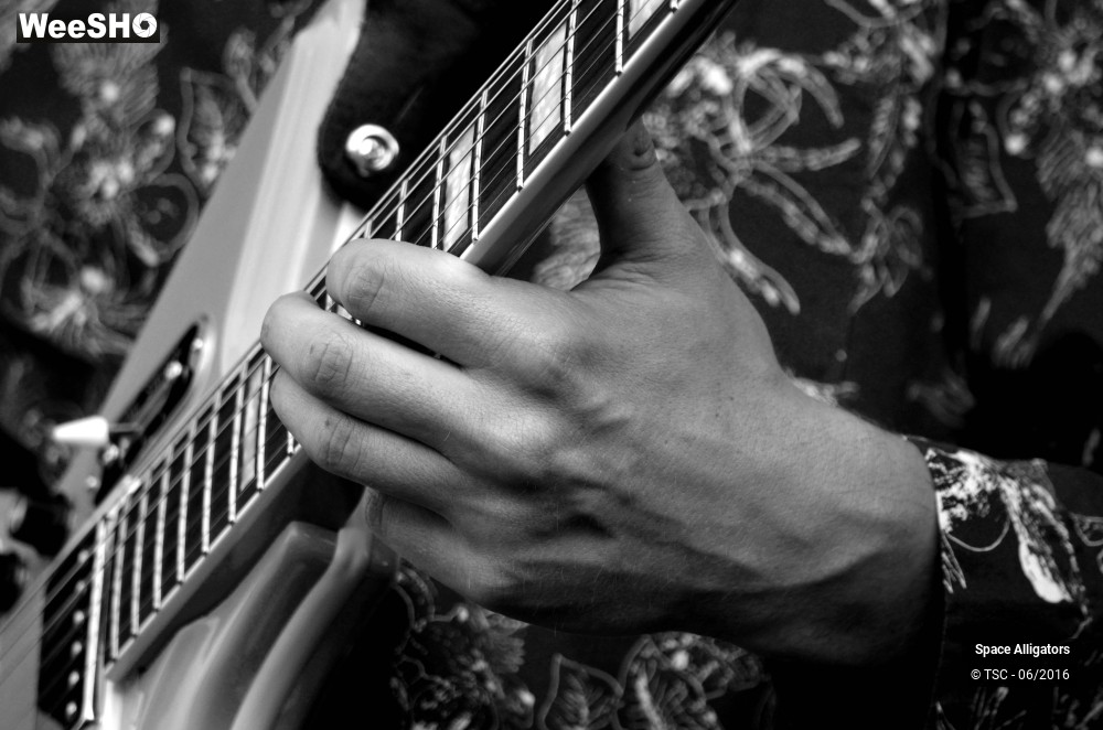 7/18 photos du spectacle Space alligators