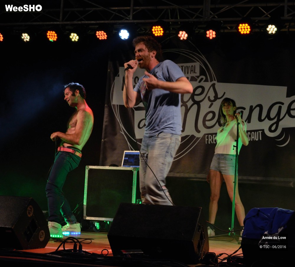 9/32 photos du spectacle Armée du Love