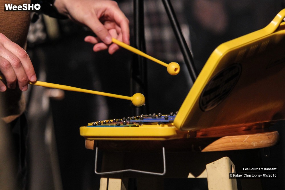 25/42 photos du spectacle Les Sourds Y Dansent