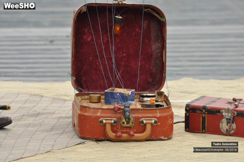 17/25 photos du spectacle Le saut del'Amor