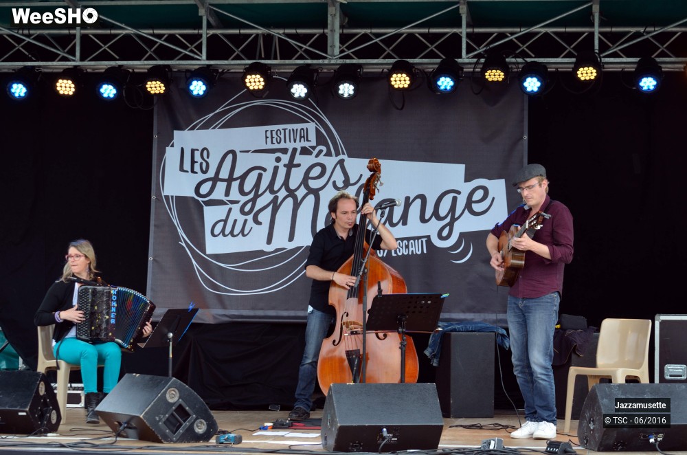 5/15 photos du spectacle Jazzamusette