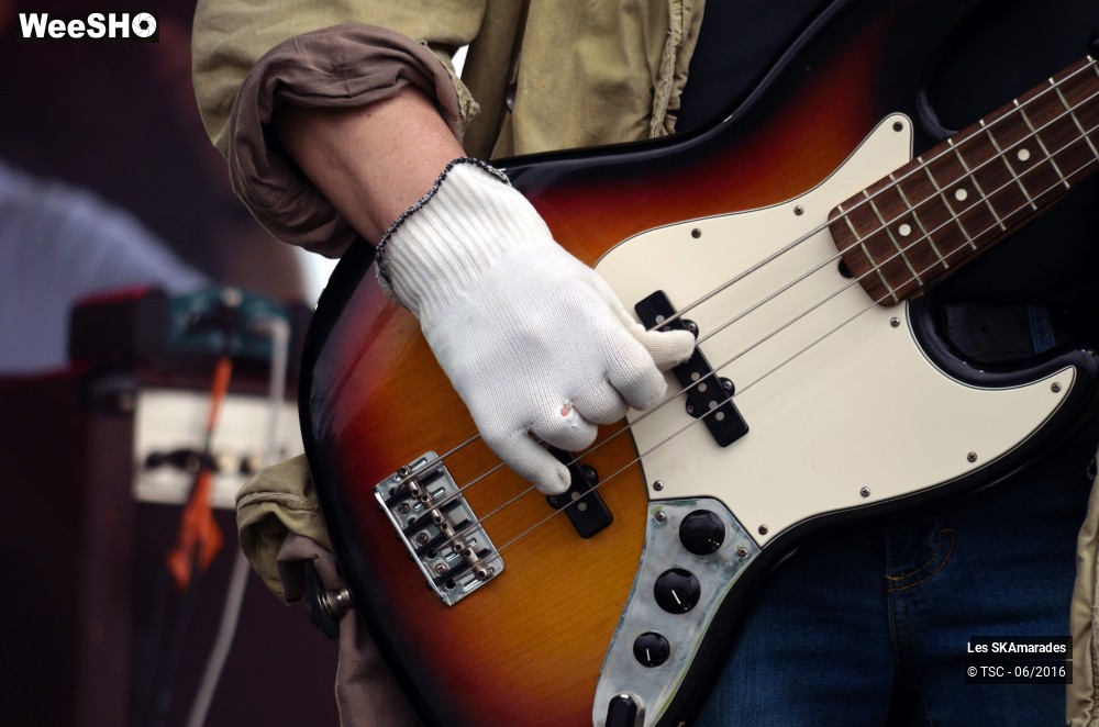 1/11 photos du spectacle Les SKAmarades