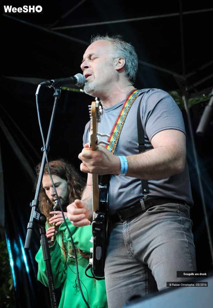 1/38 photos du spectacle Seagulls are Drunk