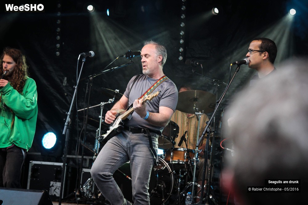 2/38 photos du spectacle Seagulls are Drunk