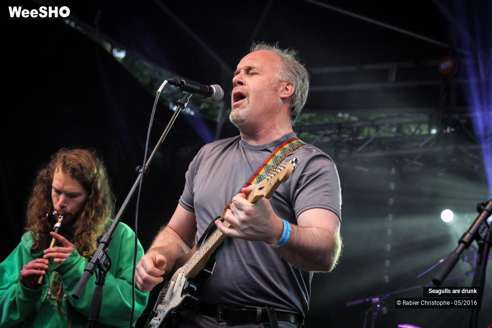 3/38 photos du spectacle Seagulls are Drunk