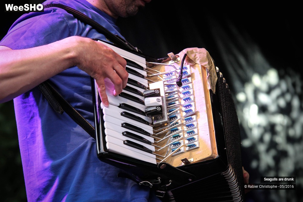 4/38 photos du spectacle Seagulls are Drunk