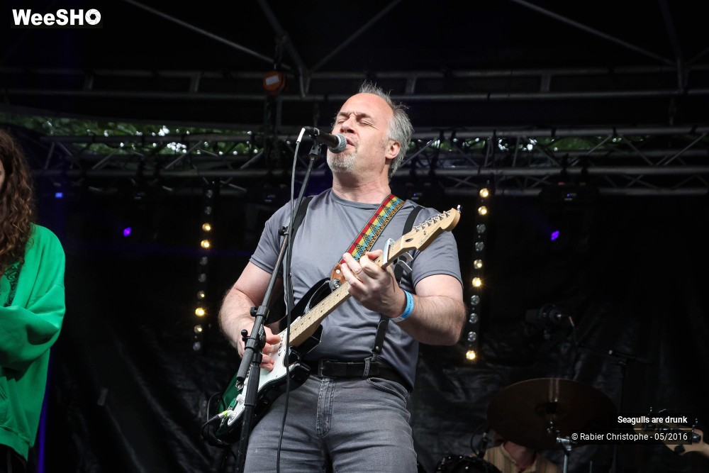 6/38 photos du spectacle Seagulls are Drunk