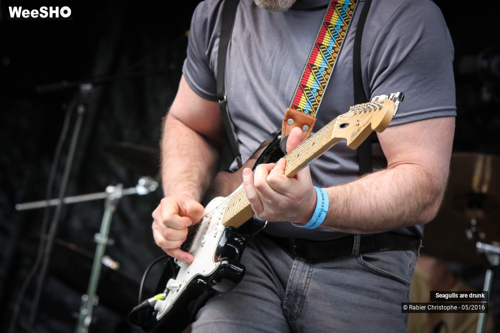 7/38 photos du spectacle Seagulls are Drunk