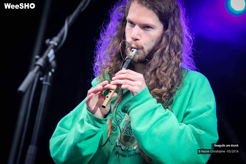 8/38 photos du spectacle Seagulls are Drunk