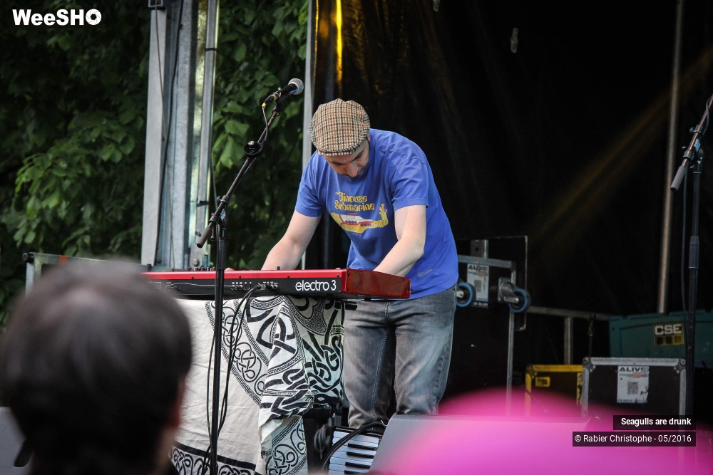 9/38 photos du spectacle Seagulls are Drunk