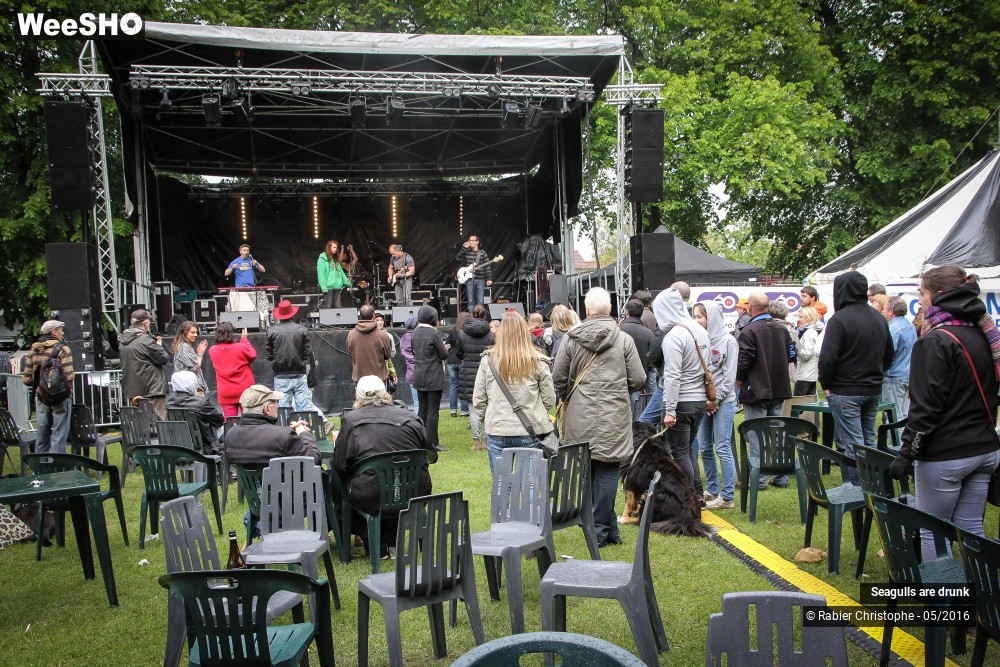 11/38 photos du spectacle Seagulls are Drunk