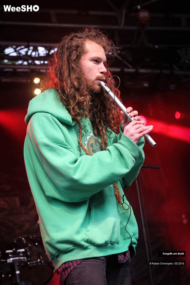 12/38 photos du spectacle Seagulls are Drunk