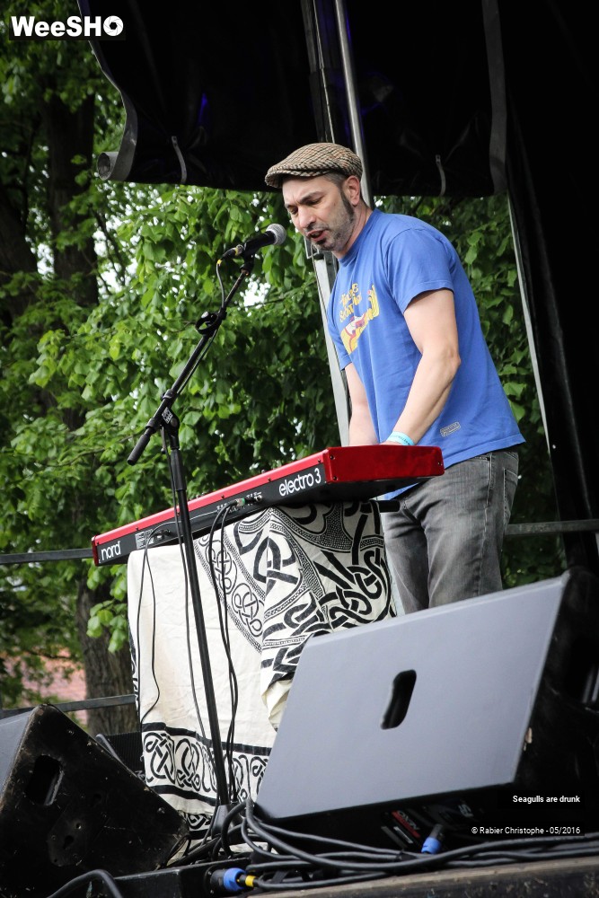 13/38 photos du spectacle Seagulls are Drunk