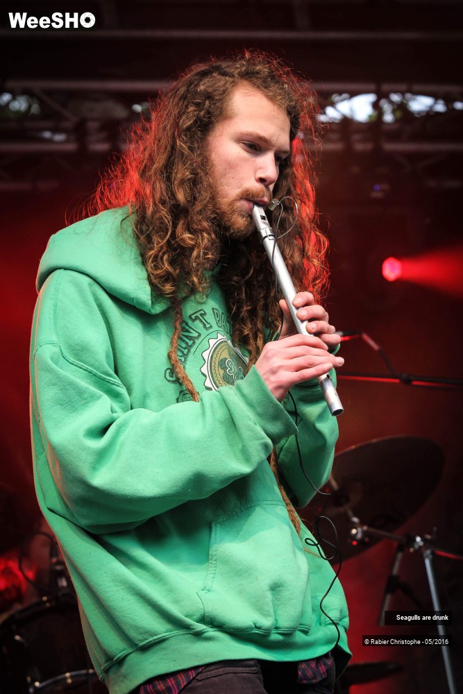 14/38 photos du spectacle Seagulls are Drunk