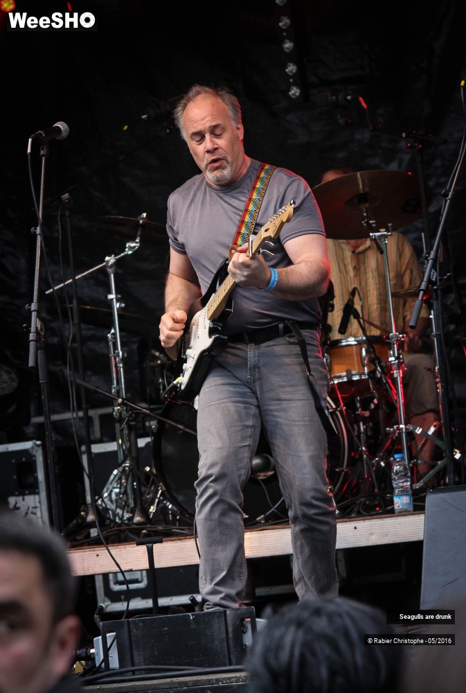 17/38 photos du spectacle Seagulls are Drunk