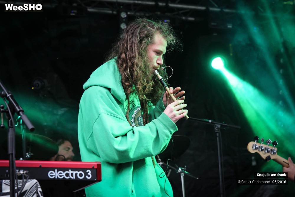 18/38 photos du spectacle Seagulls are Drunk