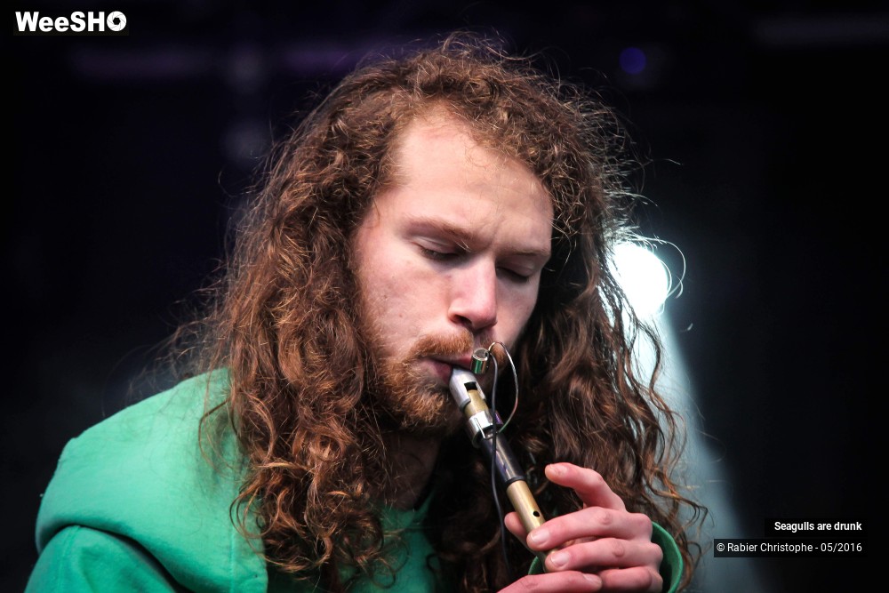 20/38 photos du spectacle Seagulls are Drunk