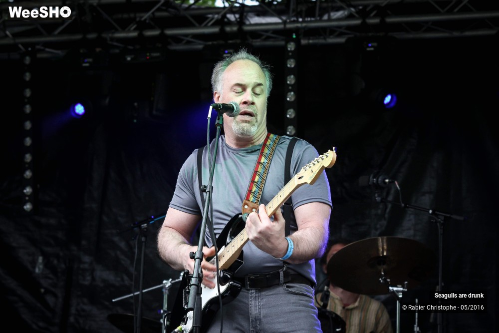 21/38 photos du spectacle Seagulls are Drunk