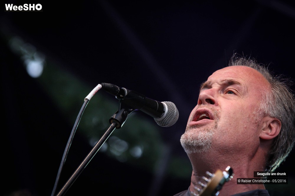 23/38 photos du spectacle Seagulls are Drunk