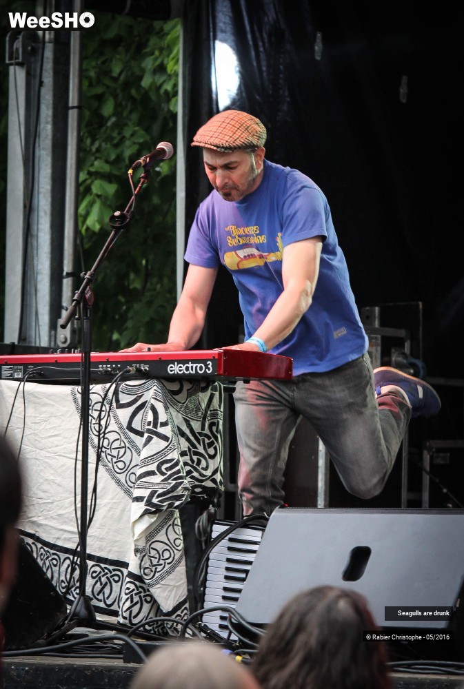 24/38 photos du spectacle Seagulls are Drunk