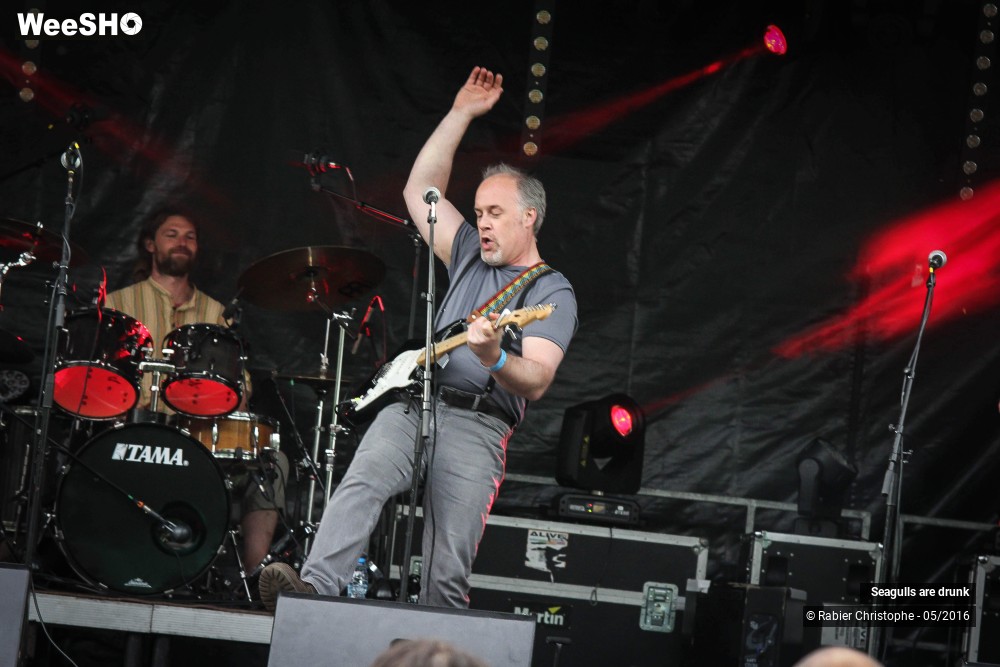 25/38 photos du spectacle Seagulls are Drunk