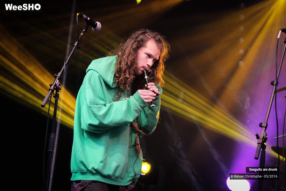 26/38 photos du spectacle Seagulls are Drunk