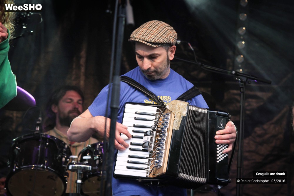 27/38 photos du spectacle Seagulls are Drunk