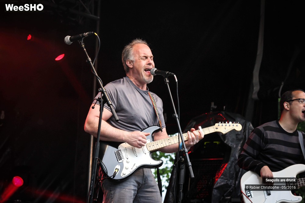 29/38 photos du spectacle Seagulls are Drunk