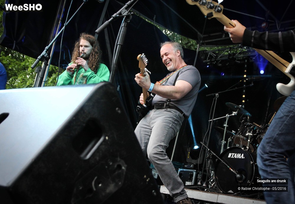 30/38 photos du spectacle Seagulls are Drunk