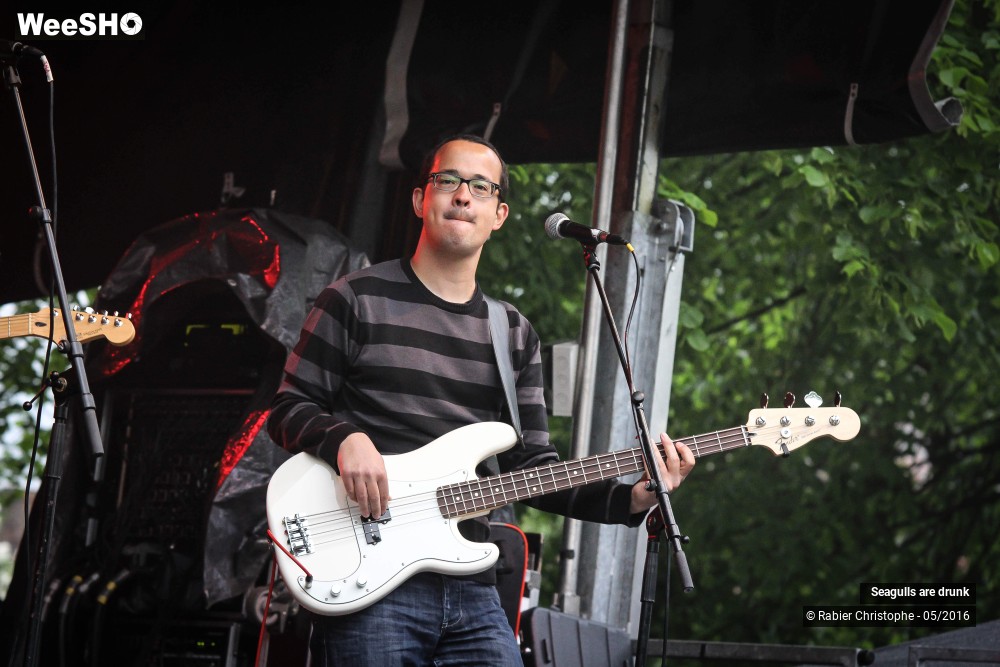 34/38 photos du spectacle Seagulls are Drunk