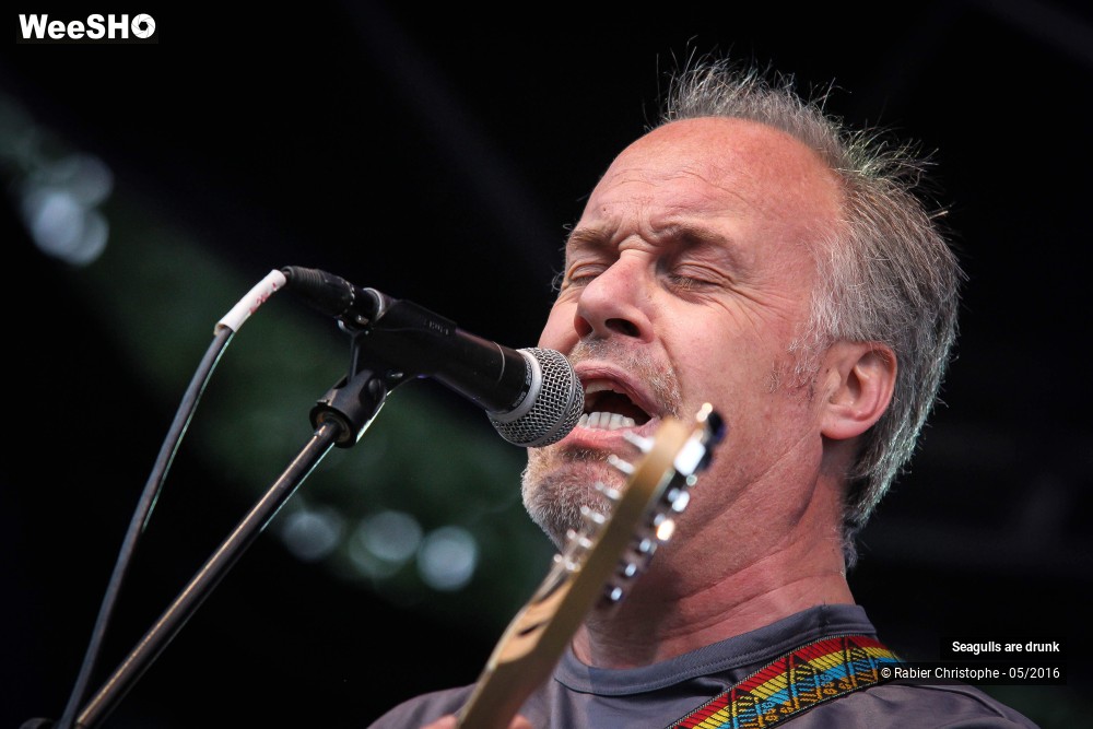 35/38 photos du spectacle Seagulls are Drunk