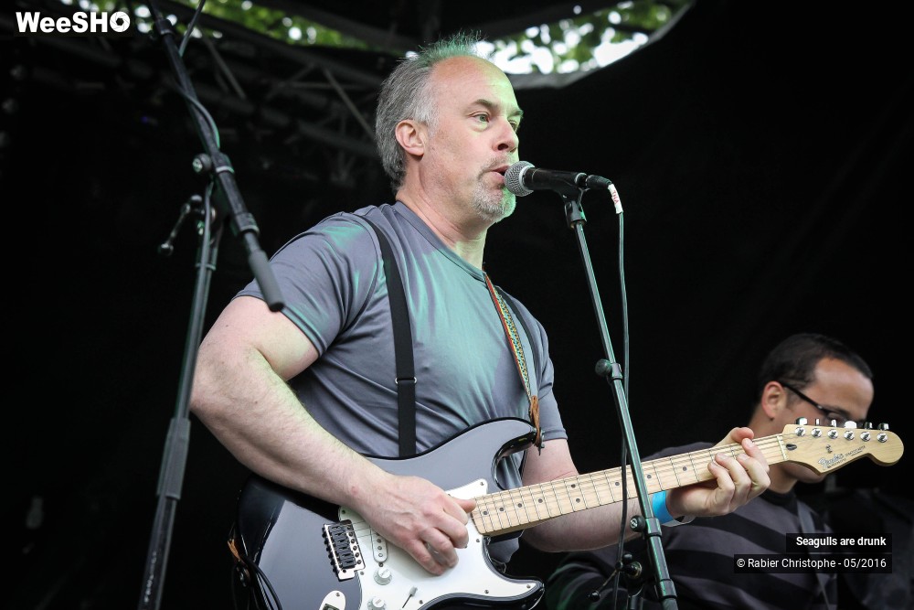 37/38 photos du spectacle Seagulls are Drunk