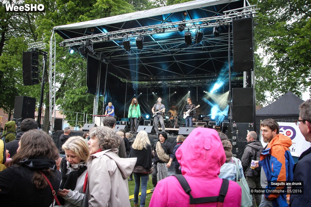 38/38 photos du spectacle Seagulls are Drunk