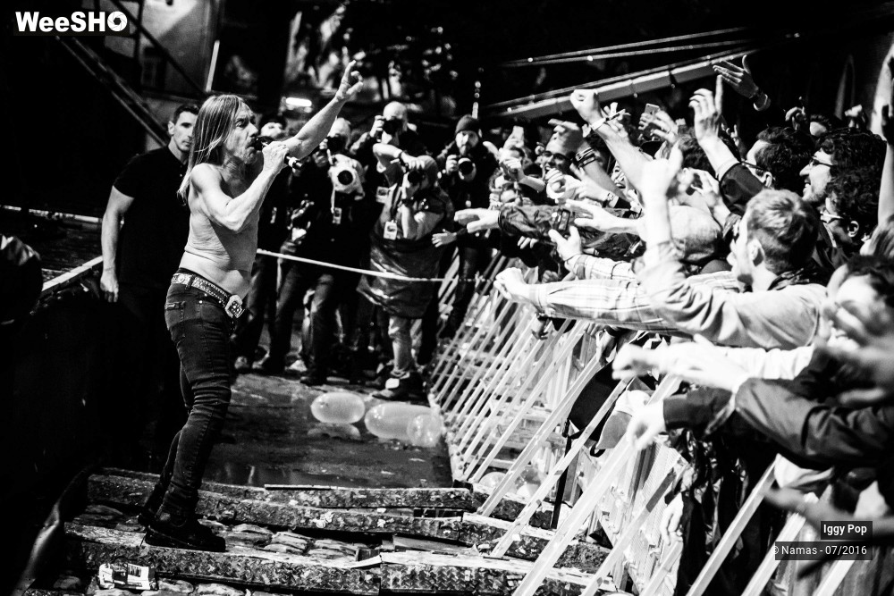 1/28 photos du spectacle Iggy Pop
