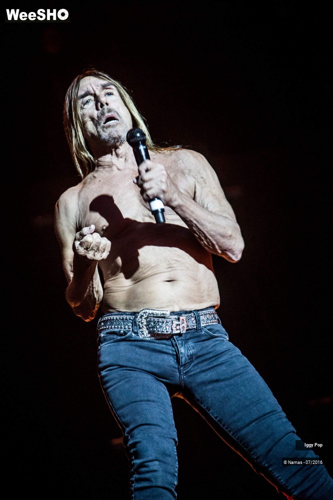 2/28 photos du spectacle Iggy Pop