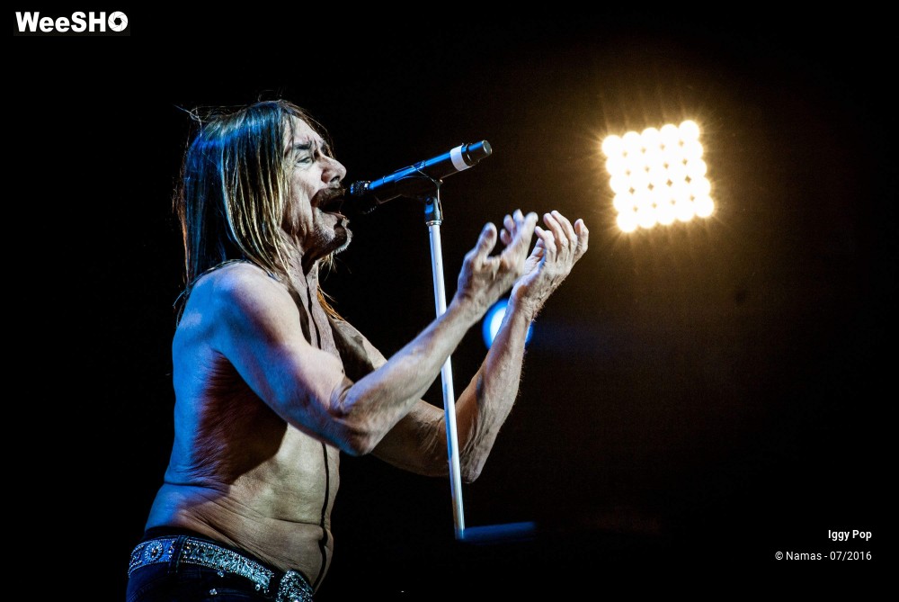 3/28 photos du spectacle Iggy Pop