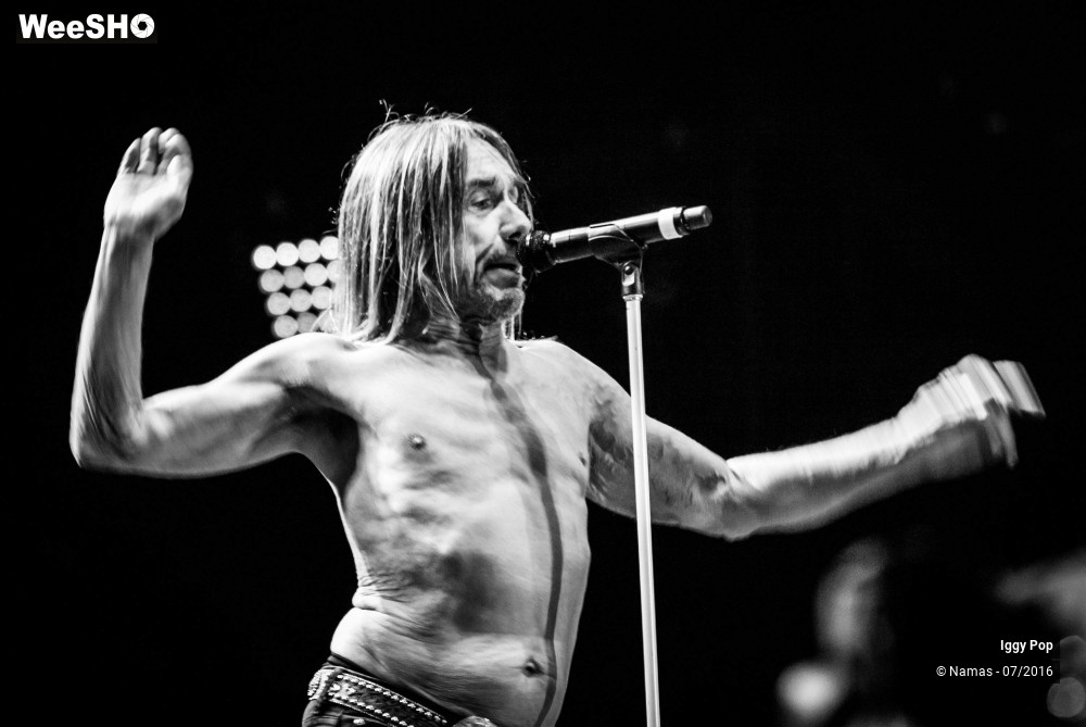 4/28 photos du spectacle Iggy Pop