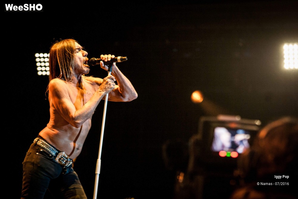 5/28 photos du spectacle Iggy Pop