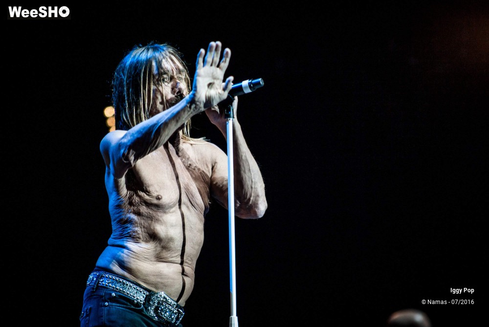 10/28 photos du spectacle Iggy Pop