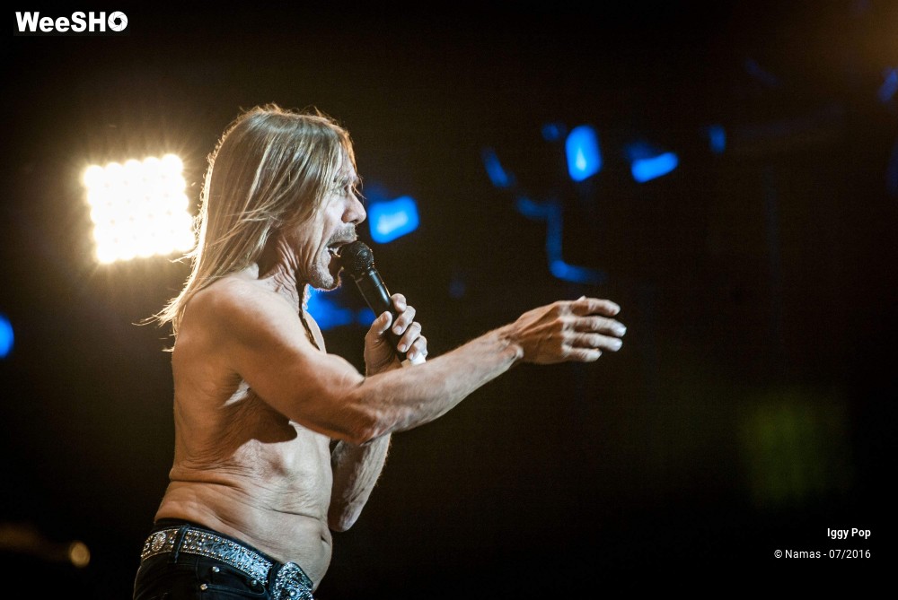 11/28 photos du spectacle Iggy Pop