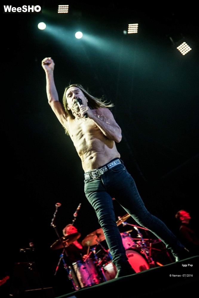 12/28 photos du spectacle Iggy Pop
