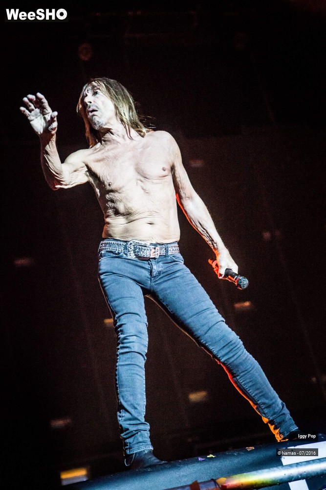 14/28 photos du spectacle Iggy Pop